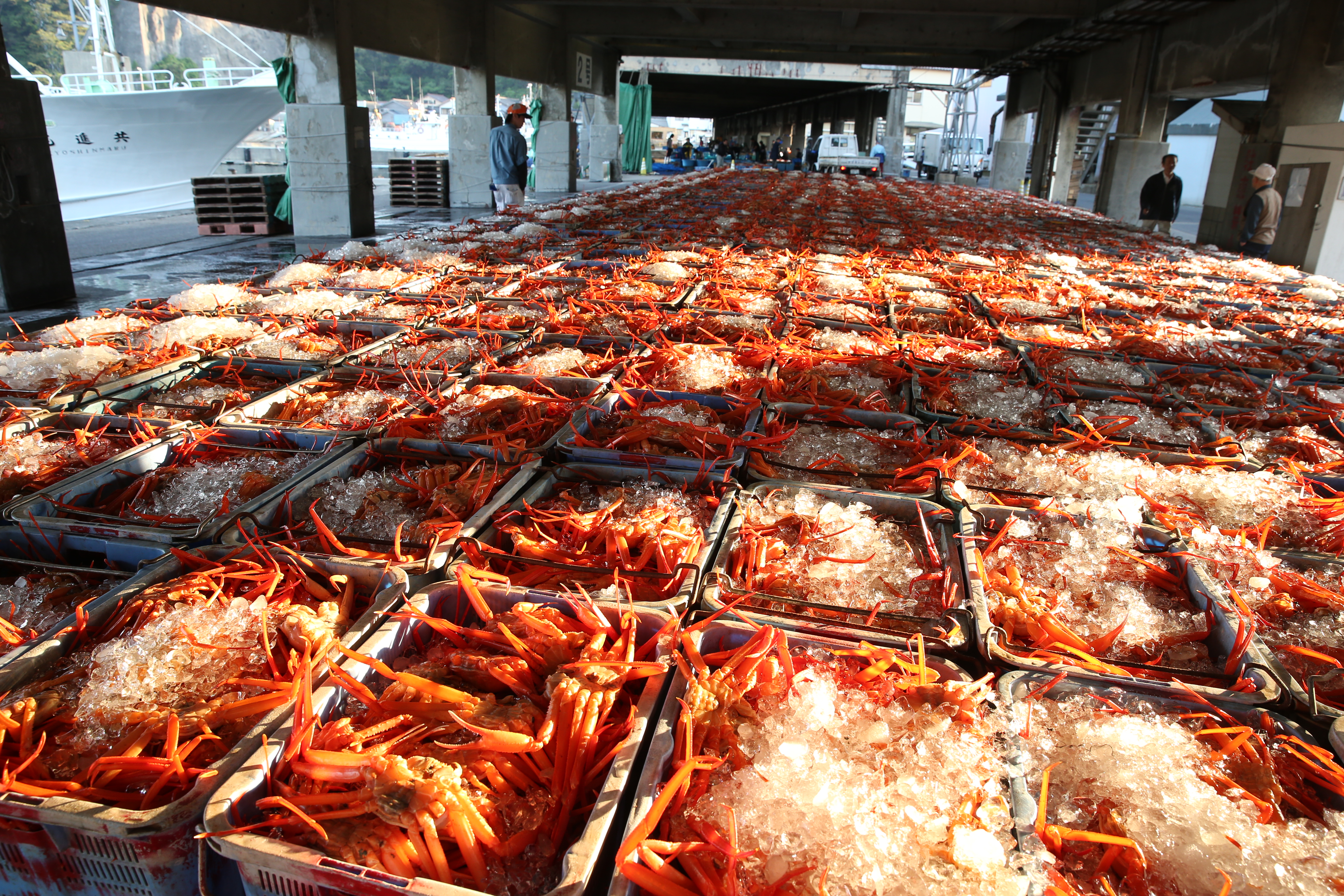 香住ガニ　カニスキセット（ダシ付き）小4肩