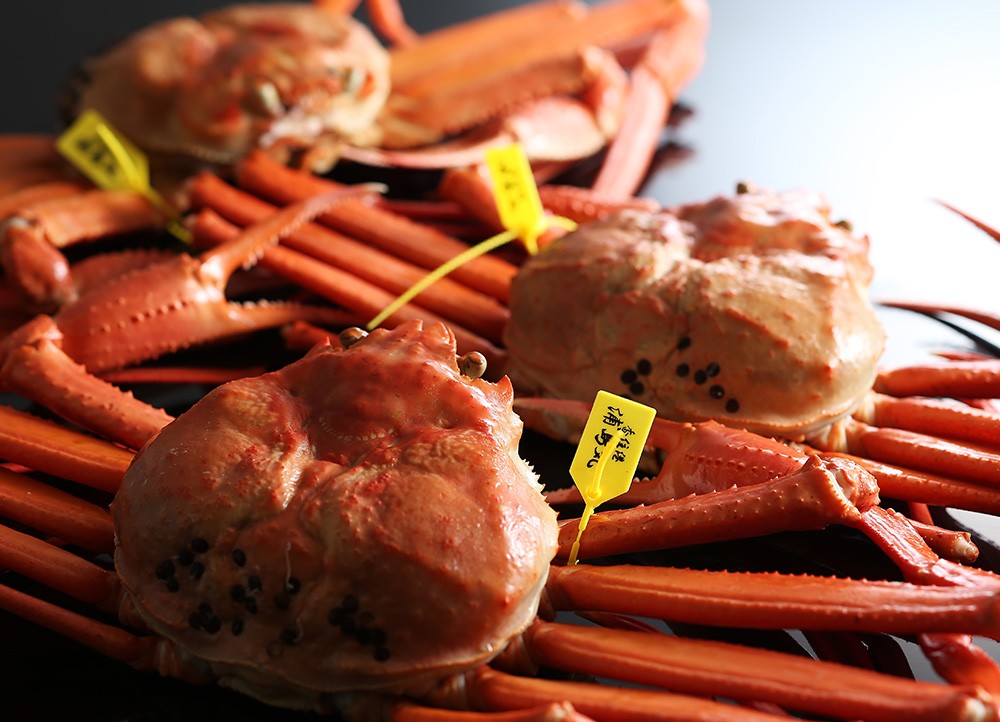 贈答用香住ガニ甲羅盛り