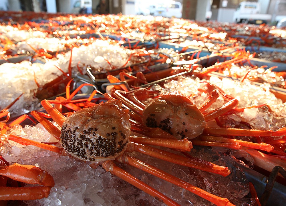 茹香住ガニ（小）