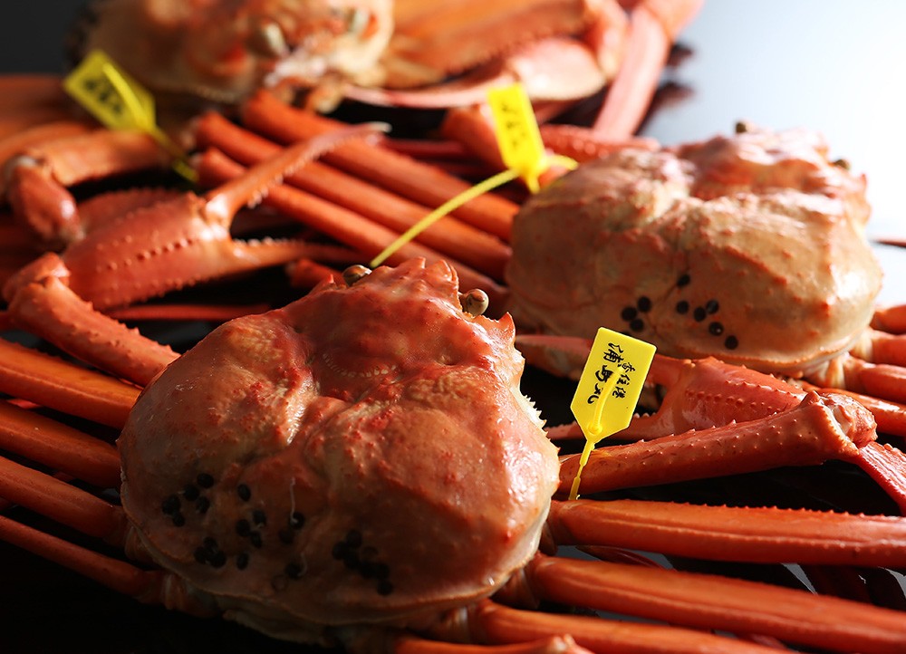 茹香住ガニ（中）