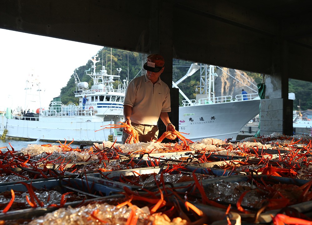 香住ガニ甲羅盛り