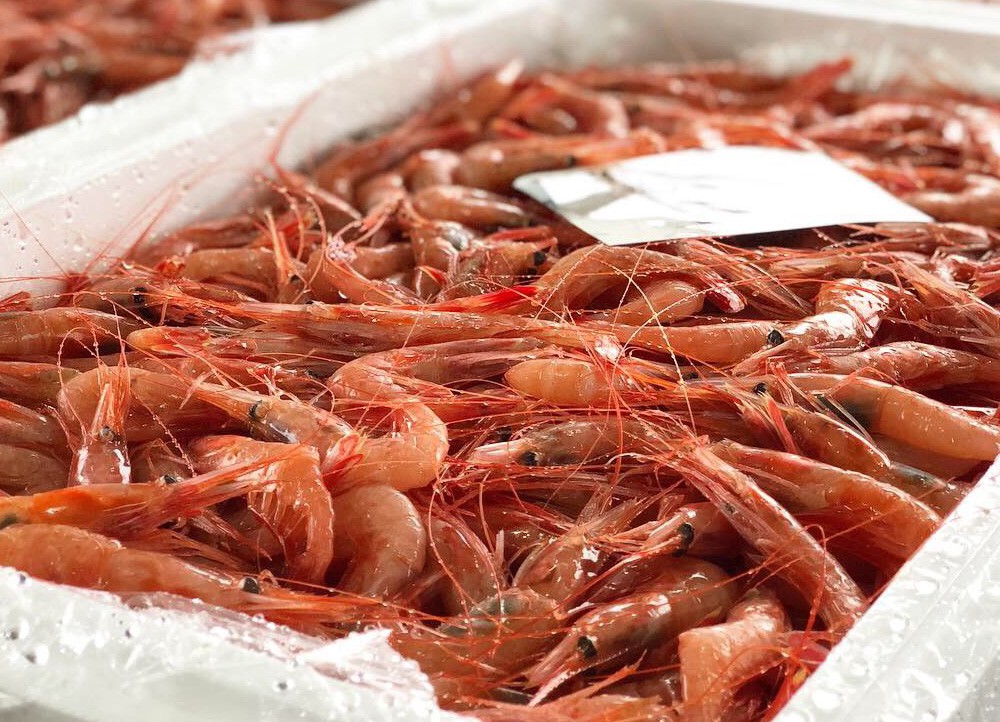 船凍甘えび